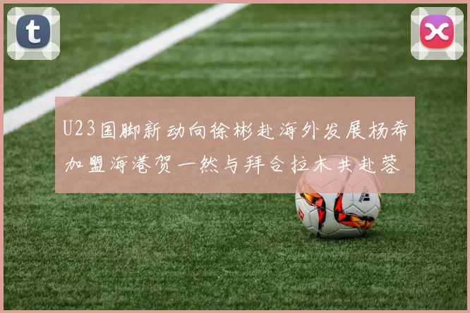 U23国脚新动向徐彬赴海外发展杨希加盟海港贺一然与拜合拉木共赴蓉城