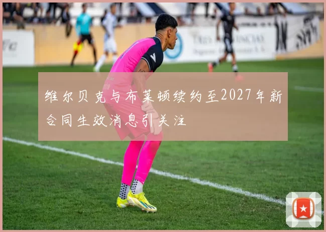 维尔贝克与布莱顿续约至2027年新合同生效消息引关注